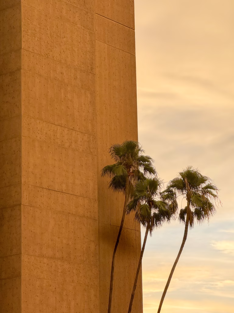 Modernist concrete tower against deepening sunset sky with palm trees, architectural photography
